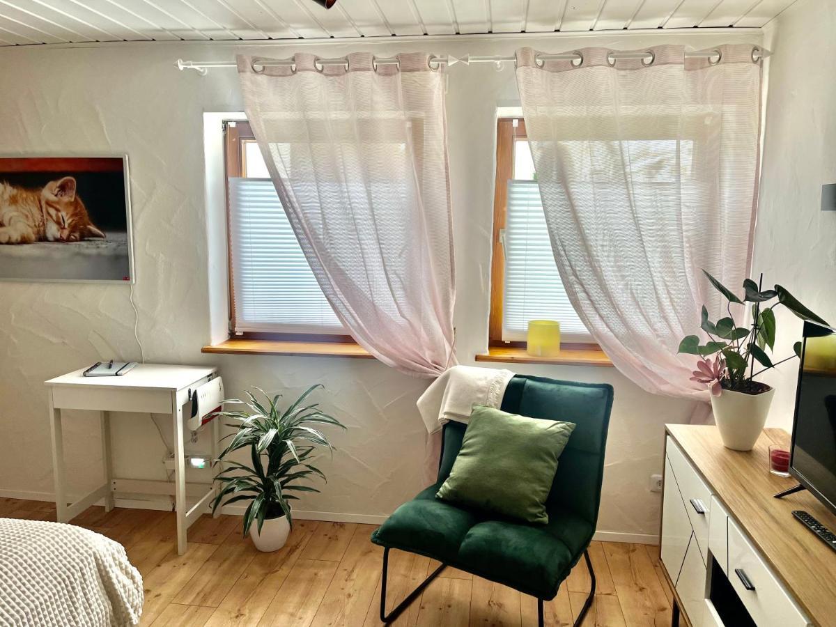 Apartment Balingen City Dış mekan fotoğraf